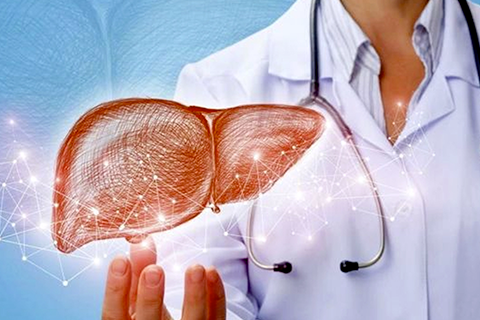 HEPATOLOGIA