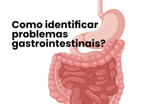 Como identificar problemas gastrointestinais
